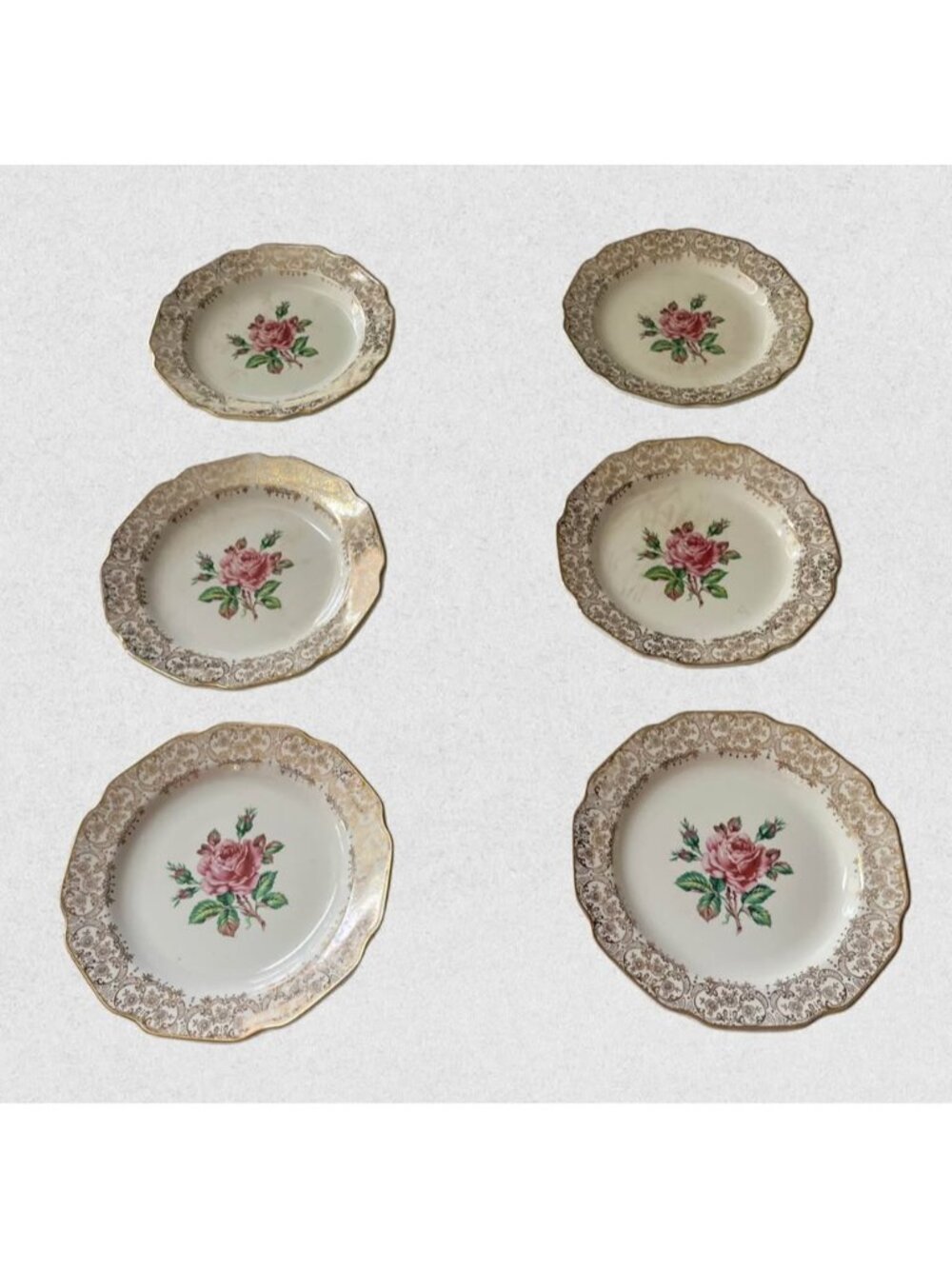Set of 6 Vintage Briar Rose Dominion China Plates